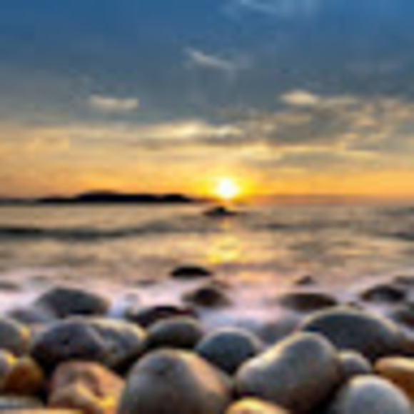 Meet your Posher, Mike - Picture 1 of 1